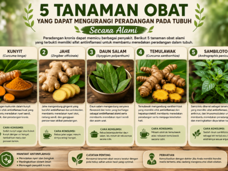 5 Tanaman Obat yang Dapat Mengurangi Peradangan pada Tubuh Secara Alami
